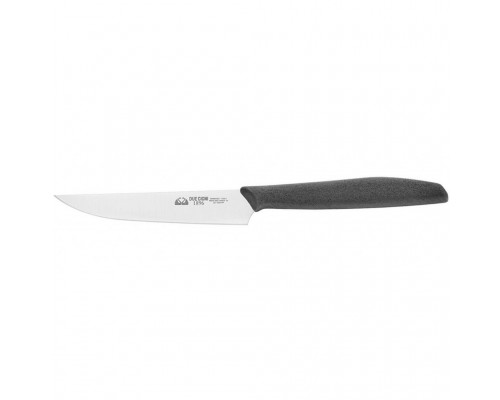 Кухонний ніж Due Cigni 1896 Steak Knife 105 mm (1003 PP)