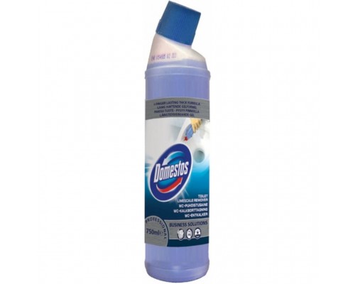 Засіб для чищення унітазу Domestos Toilet Limescale Remover Business Solutions 750 мл (7615400116560)