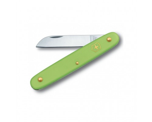 Ніж Victorinox Floral Matt Green Blister (3.9050.47B1)