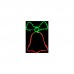 Гірлянда Delux Motif flash Bell 50 х 35 см червоний/зелений IP44 EN (90012987)