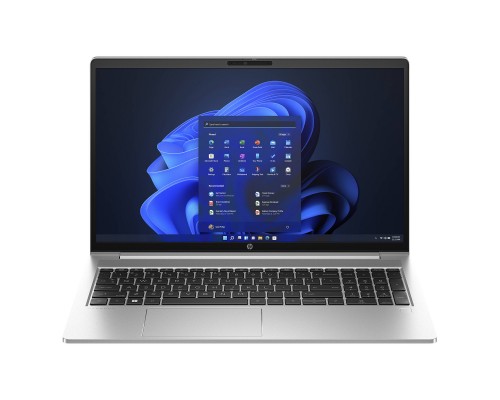 Ноутбук HP ProBook 455 G10 (719F9AV_V4)