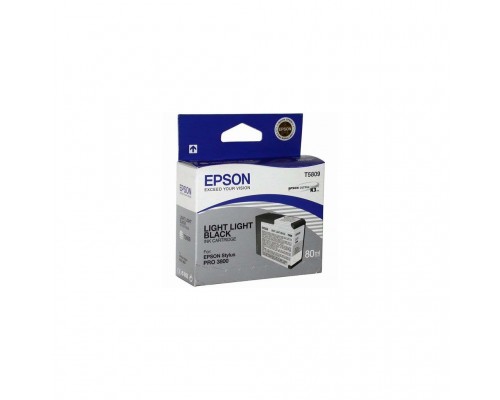 Картридж Epson St Pro 3800 light light black (C13T580900)