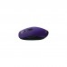 Мишка Canyon CNS-CMSW09V Wireless Violet (CNS-CMSW09V)