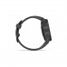 Смарт-годинник Garmin fenix 6S Pro, Black w/Black Band (010-02159-14)