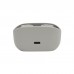 Навушники JBL Vibe 100 TWS Silver (JBLV100TWSIVREU)