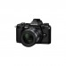 Цифровой фотоаппарат OLYMPUS E-M5 mark II 14-150 II Kit + HLD-8 + BLN-1 black/black (V207043BE010)