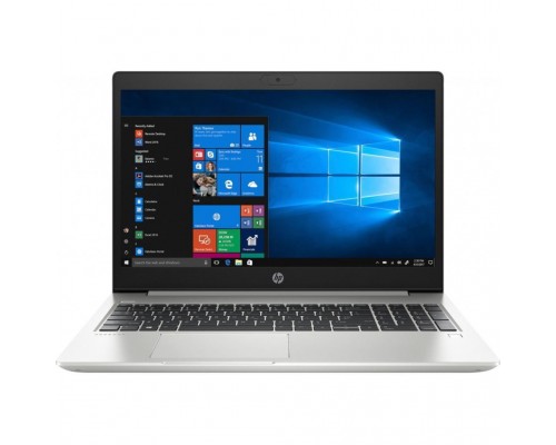 Ноутбук HP ProBook 455 G7 (7JN02AV_V19)
