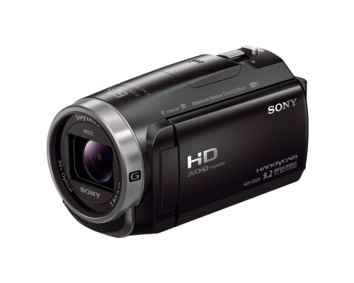 Цифровая видеокамера SONY Handycam HDR-CX625 Black (HDRCX625B.CEL)