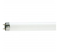 Лампочка Philips TL-D G13 1200mm 36W/33-640 1SL/25 (928048503351)