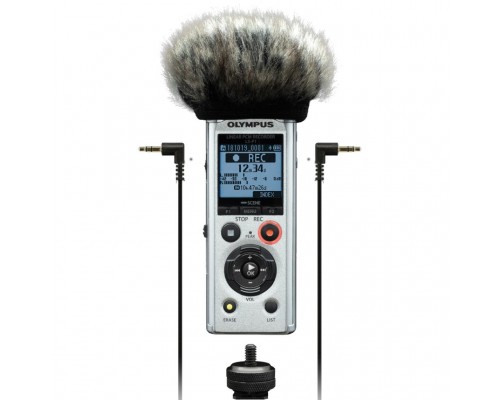 Цифровий диктофон Olympus LS-P1 Videogapher Kit (V414141SE050)