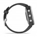Смарт-часы Garmin Fenix 6S Silver with Black Band (010-02159-01)
