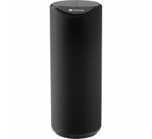 Акустична система CANYON Portable Bluetooth Speaker Black (CNS-CBTSP5B)