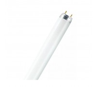 Лампочка LEDVANCE FLUORA L Т8 30W / 77 G13 / 900мм / 1000Lm (4050300003238)