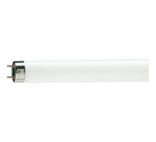 Лампочка Philips TL-D G13 600mm 18W/33-640 1SL/25 (928048003351)