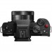 Цифровий фотоапарат Panasonic DC-G100 Kit 12-32mm Black + ручка штатив (DC-G100VEE-K)