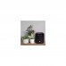 Акустична система JBL Tuner XL Black (JBLTUNERXLBLKEU)