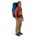 Рюкзак туристичний Osprey Atmos AG LT 65 scenic valley/green peppercorn L/XL (009.3279)