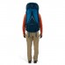 Рюкзак туристичний Osprey Atmos AG LT 65 scenic valley/green peppercorn L/XL (009.3279)