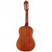 Гітара класична Cort AC50 Open Pore (With Bag) (AC50 OP w/bag)