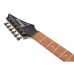 Електрогітара Ibanez RG421PB CHF (230535)