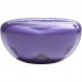 Навушники JBL Tune Flex 2 Ghost Purple (JBLTFLEX2GMAE)