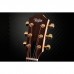 Гітара електроакустична Taylor Guitars 50th Anniversary GS Mini-e Rosewood SB LTD (236873)