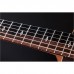 Гітара електроакустична Taylor Guitars 50th Anniversary GS Mini-e Rosewood SB LTD (236873)