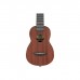 Укулеле Ibanez UKS100-OPN (232727)