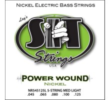 Струни для гітари SIT Strings NR545125L (45-125) (226938)