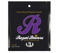 Струни для гітари SIT Strings RL1254 (12-54) (230920)