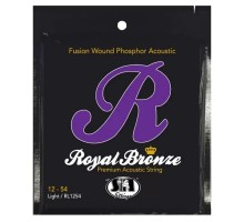 Струни для гітари SIT Strings RL1254 (12-54) (230920)