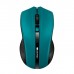 Мишка Canyon MW-5 Wireless Green-Black (CNE-CMSW05G)