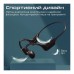 Навушники Promate Ripple Black (ripple.black)