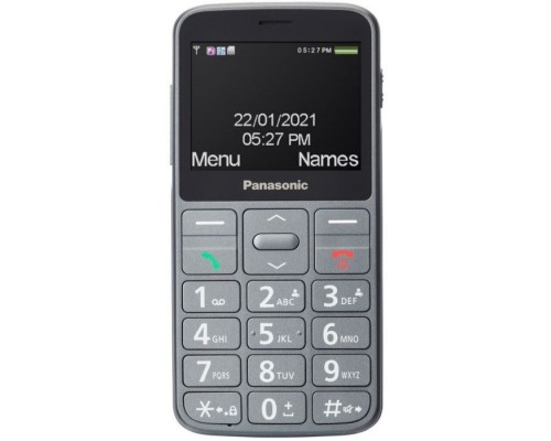 Мобільний телефон Panasonic KX-TU160 Grey (KX-TU160EXG)