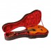 Гітара класична Cordoba C9 CD