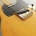 Електрогітара FGN Neo Classic Vintage Natural (NTE100MAH-VNT)