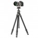 Штатив Vanguard VEO 5 264AB-160S (DAS303045)