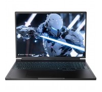 Ноутбук Thunderobot RS16 (RS16-i9139HX57TC1Q240ARB16)