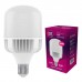 Лампочка ELM TOR 100W PA20S E40 6500 (18-0198)