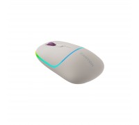 Мишка Canyon MW-22 Dual Band RGB Wireless Rice (CNS-CMSW22RC)