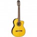 Гітара класична Takamine GC5CE NAT (221976)