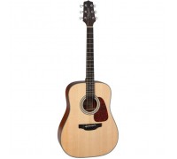 Гітара акустична Takamine GD10 NS (226785)