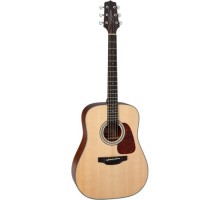 Гітара акустична Takamine GD10 NS (226785)