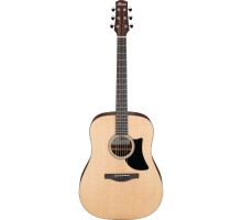 Гітара акустична Ibanez AAD50-LG (232725)