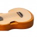 Укулеле Ibanez AUT10 OPN (234984)