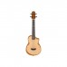 Укулеле Ibanez AUT10 OPN (234984)