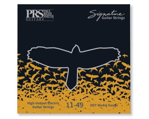Струни для гітари PRS Signature David Grissom Guitar Strings (11-49) (100148004001004)