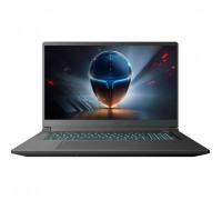 Ноутбук Thunderobot 911 X17 (911X17-i7136H56C1Q165MB)