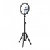 Набір блогера RTAKO ZJ-ZBT01 Live Streaming Stand with Ring Light and Floor Tripod (6942063215400)