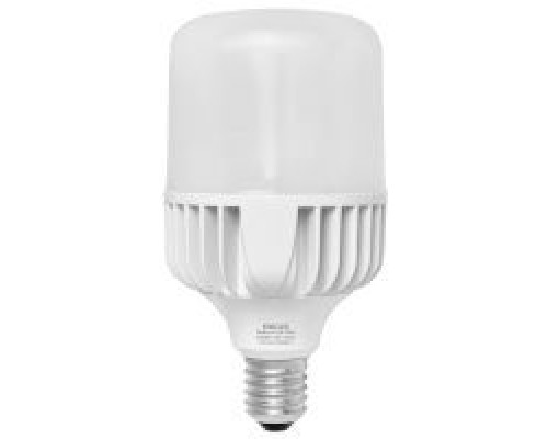 Лампочка Delux BL 80 80w E40 6500K (90020579)